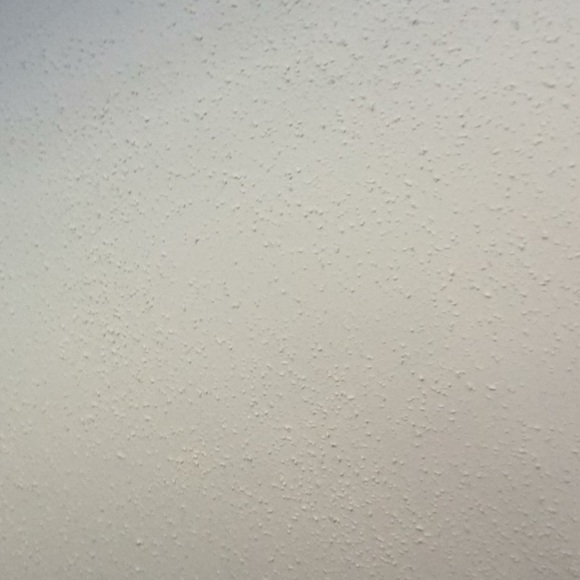 Meet your Posher, Ashley - Picture 1 of 1